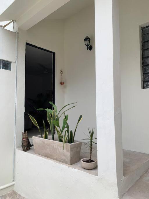 巴利亚多利德Private Full House With Pool And Cozy Patio别墅 外观 照片