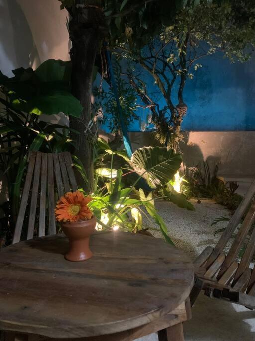 巴利亚多利德Private Full House With Pool And Cozy Patio别墅 外观 照片